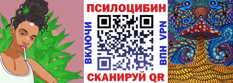 Галлюциногенные грибы MAGIC MUSHROOMS  Николаевск 